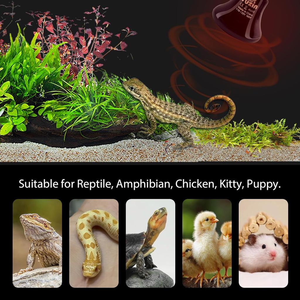 BNOSDM Reptile 75W Ceramic Heat Emitter,4 Pack Reptile Heat Lamp Bulbs,Non Light Emitting,Brooder Coop Heater Lamp Bulb for Amphibian Reptile Lizard