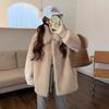 Fur Jacket Women's Clothing Medium and Long Loose and Thin Imitation Mink Hair Thickened Warm Plush Coat Winter