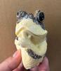 Resin Frog Climbing Tree Ornament Handcrafted Animal Figurine Decorative Sculpture for Home Garden Indoor Display