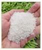 Versatile Whitebait and Shrimp Rub for Casual Fishing: Perfect for Crucian Carp