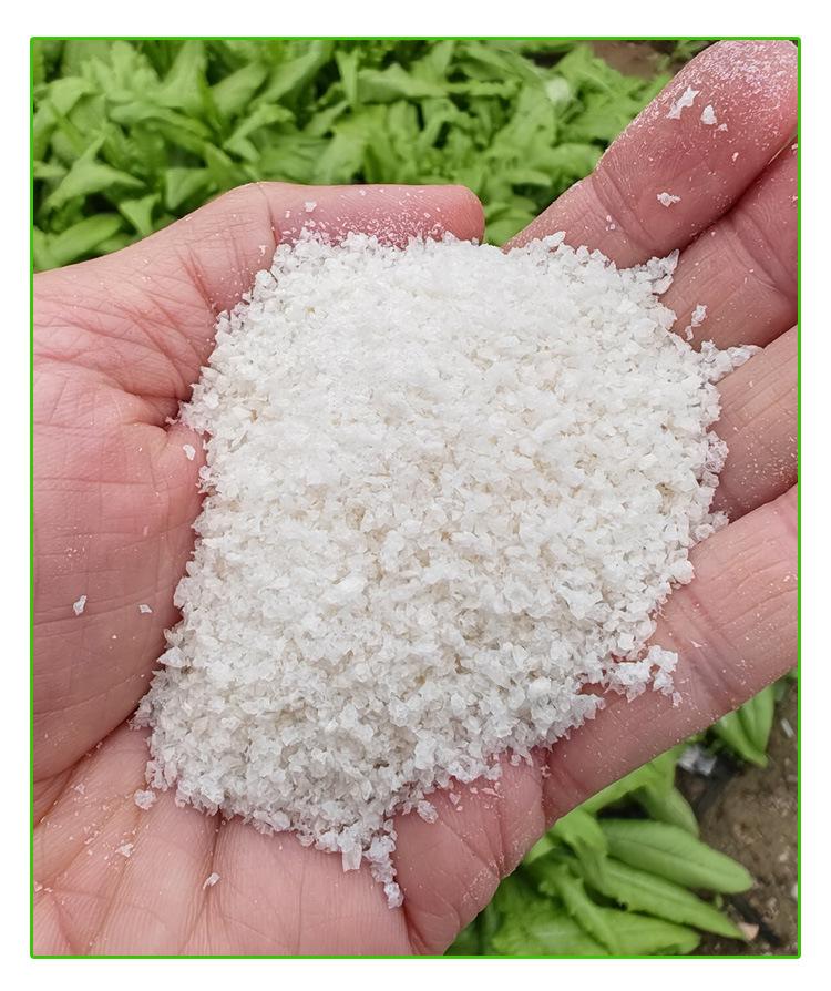 Versatile Whitebait and Shrimp Rub for Casual Fishing: Perfect for Crucian Carp