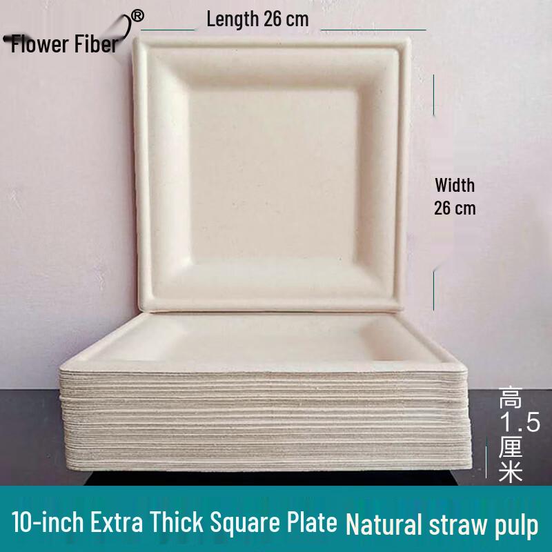 Yuzhuxun 10-inch Disposable Square Paper Plates