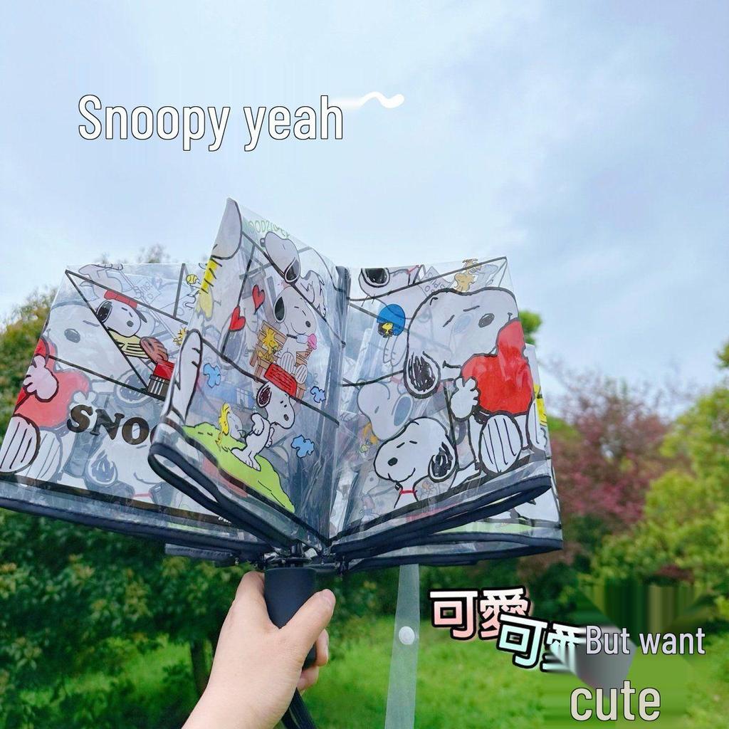 Korean Women's Transparent Automatic Folding Umbrella with Cute Cartoon Design