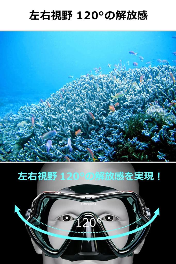 DAYOFF Snorkeling Mask with Wide Field of Diving Mask for Scuba Diving View, (Black)