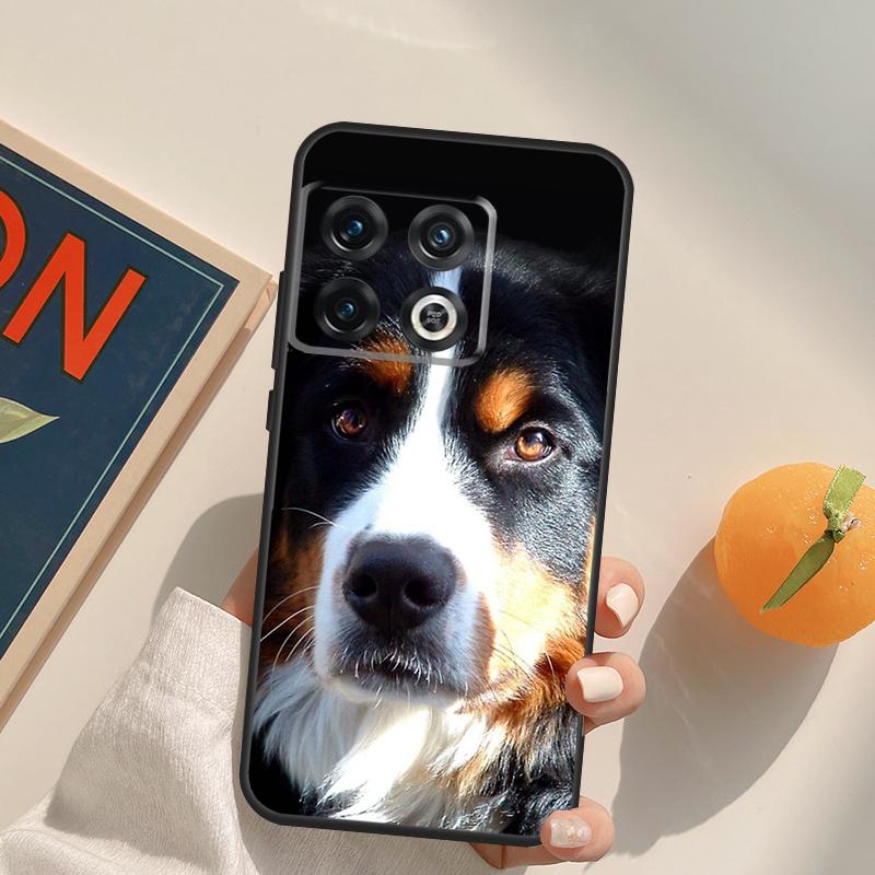 Funny Bernese Mountain Dog Case For OnePlus 15 13 12 11 13R 12R 10T 8T 13T OnePlus Nord 5 CE 3 2 4 Lite N20 N30 Cover