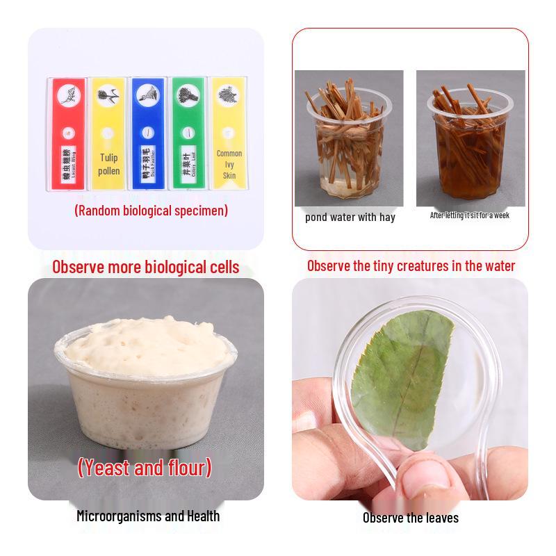 6th Grade Science Experiment Set: Semester 1 - Microscopic World Collection