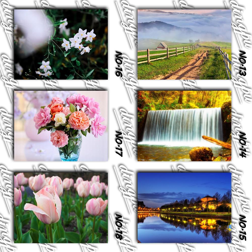 5D DIY diamant schilderij volledige ronde klaproos bloem kit diamant borduurwerk mozaïek decoraties thuis