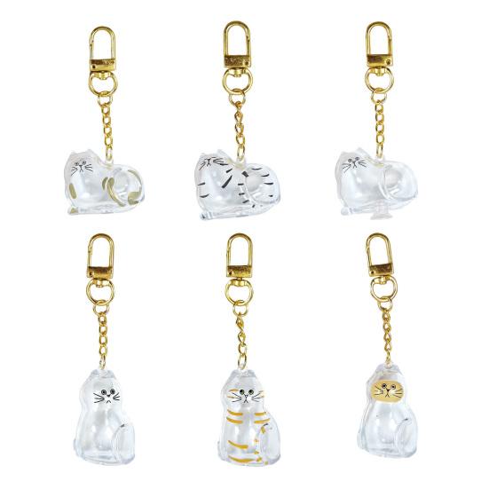 Cat Hair Storage Box Keychain Cat Memorial Pendant Transparent Pets Hair Capsule Portable Pet Souvenir Accessories Thoughtful Gift for Pet Lover