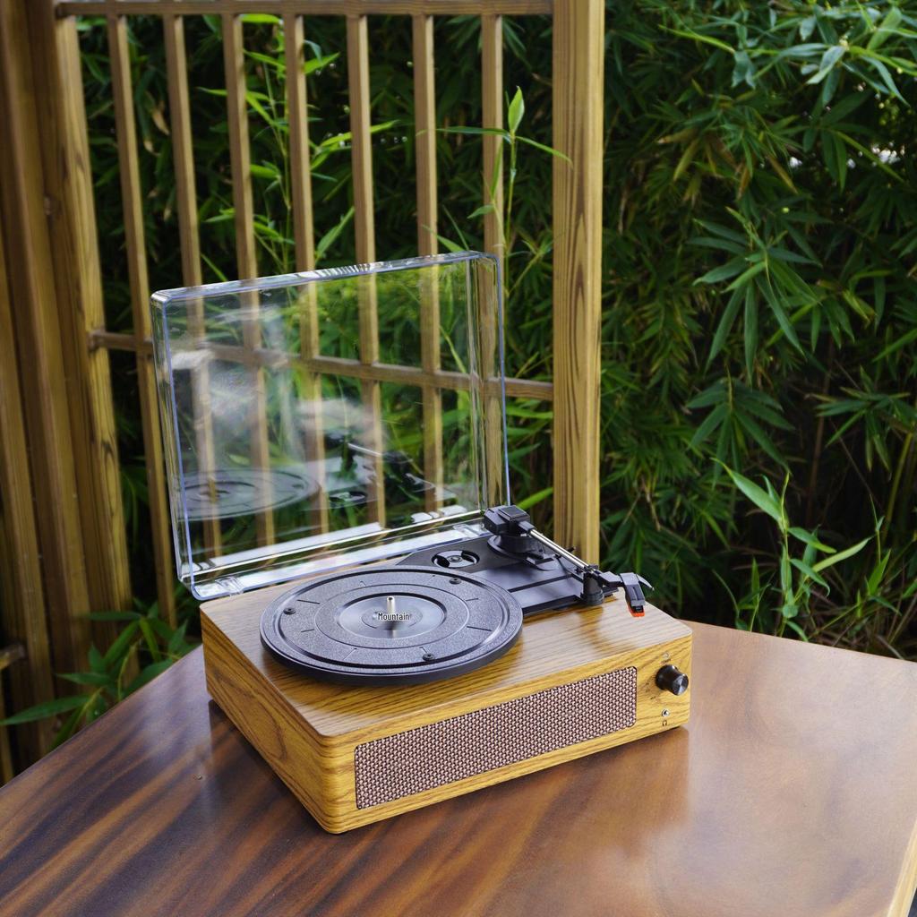 Retro Wooden Gramophone European Style Bluetooth Speaker with Lid for Vinyl Records