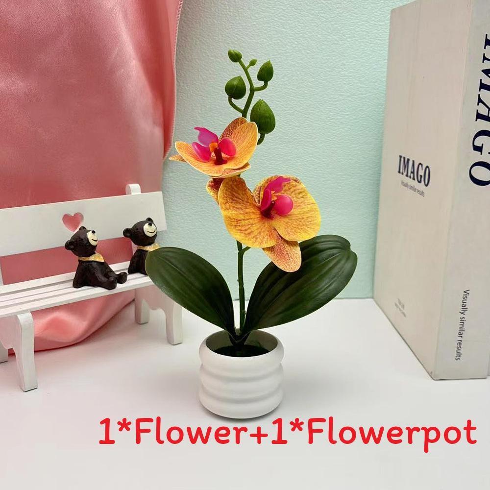 Flower Phalaenopsis Potted For Event Decor And Indoor Home Embellishment