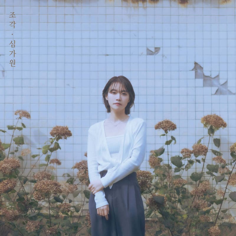 

Sim Ga-won - Fragment