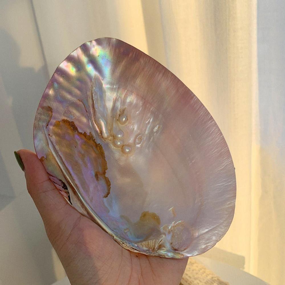 Decorative Shell Shape Home Decor Jewelry Storage Tray Storage Container Storage Holder Art Craft