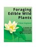 Foraging Edible Wild Plants of New England : A Guide To Identifying, Harvesting, and Preparing 90 Wild Plants Kitabı