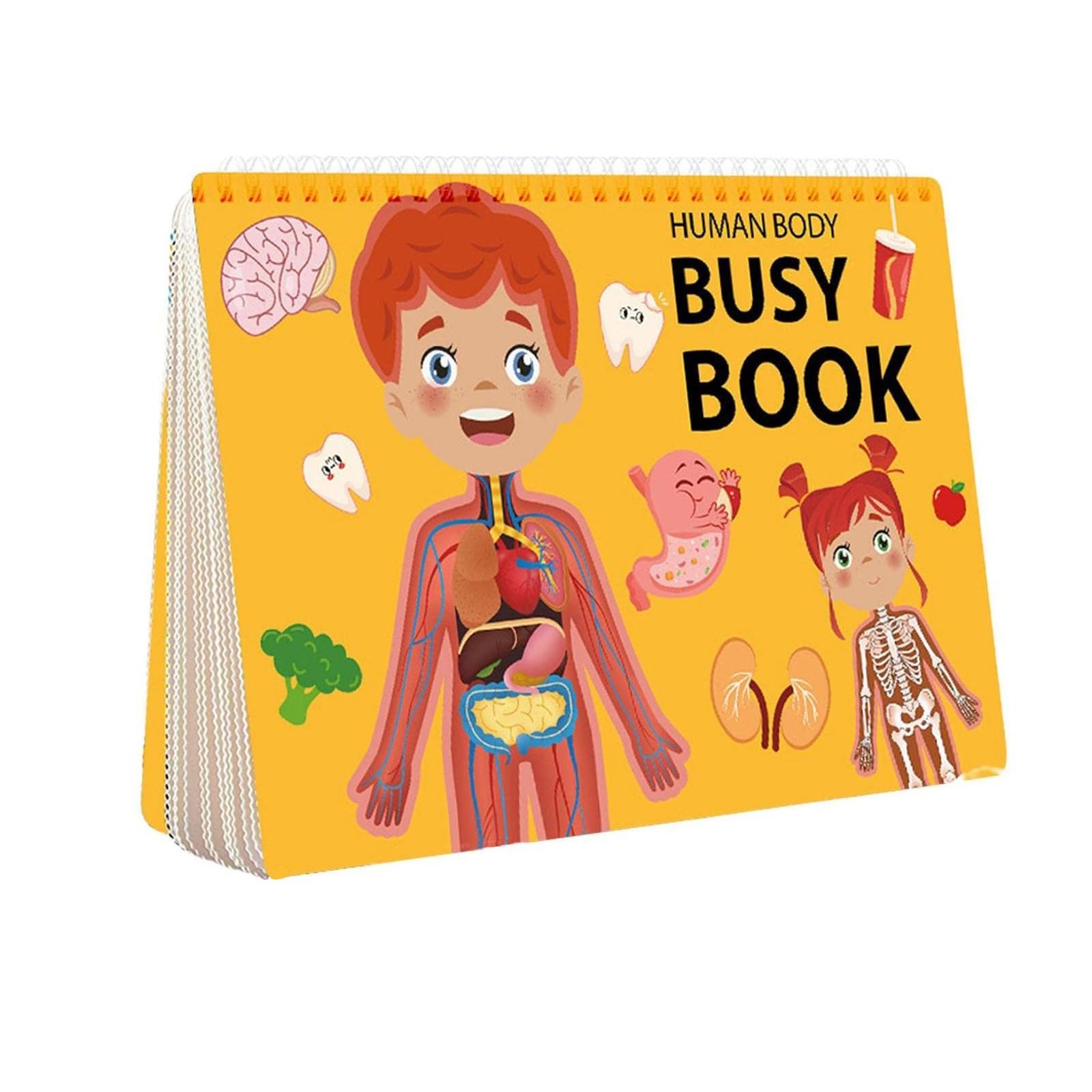 

3-5 лет малыш, анатомия человека для детей, дорожная игрушка, подарок на день рождения для мальчиков и девочек в возрасте 4, 5, 6, 7 лет, 8,1 мл One Size