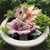 Progettazione giardini e paesaggi – Decorazioni per il giardino
