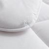LOVO Zhenyue Warm Ginger Antibacterial Quilt