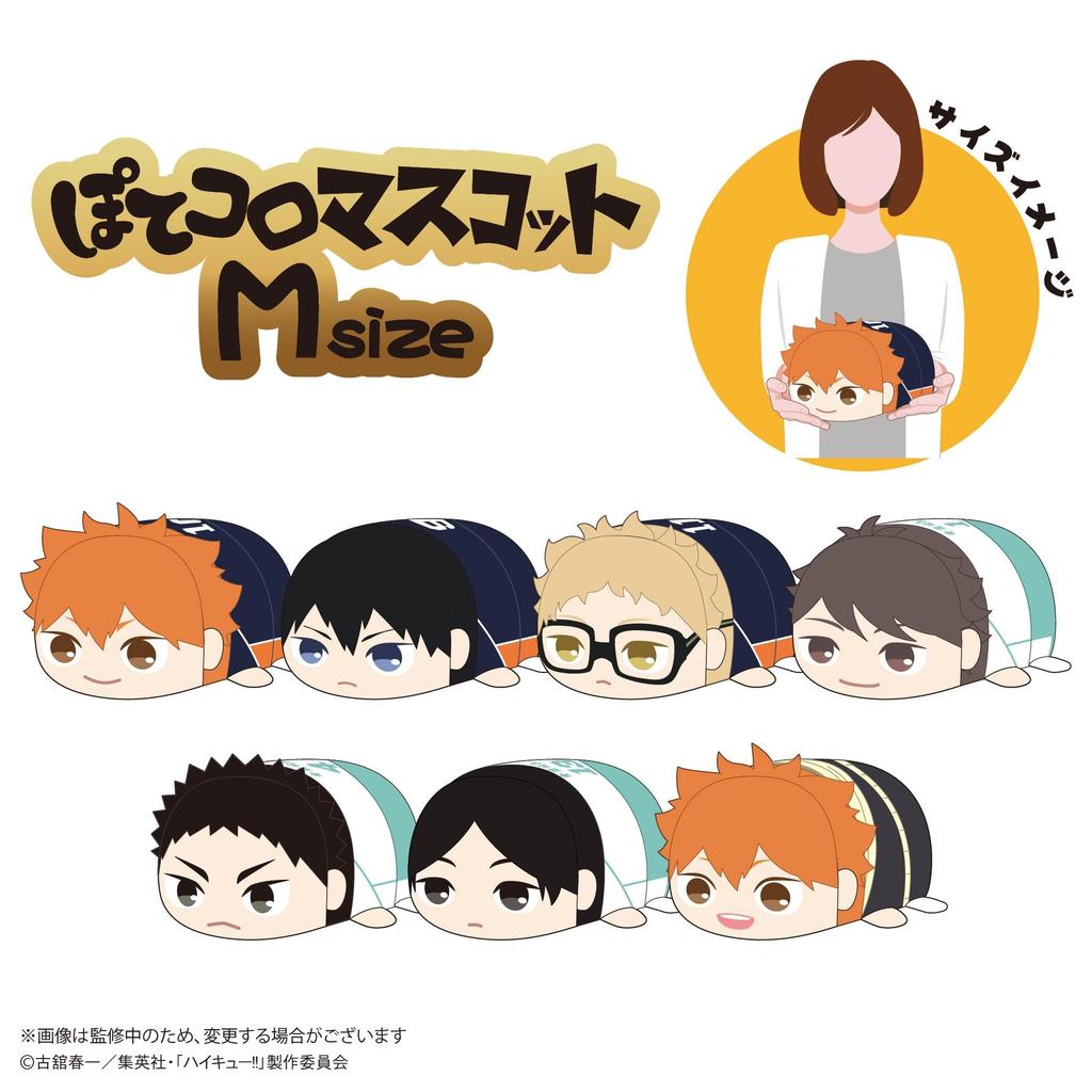 Potekoro Mascot M size Iwaizumi Hajime Haikyu!! E