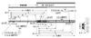 Sugatsune Industry Accuride Slide Rail C2421 (Sugatsune) C2421-35