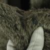 UNTITLED Long Sleeve Rabbit Fur Jacket 2 Brown Women Used