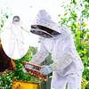 One-Piece Bee-Proof Suit with Space Foldable Hood - Cotton-Polyester, Bee-Repellent Clothing, Beekeeping Tools, Cut-Resistant