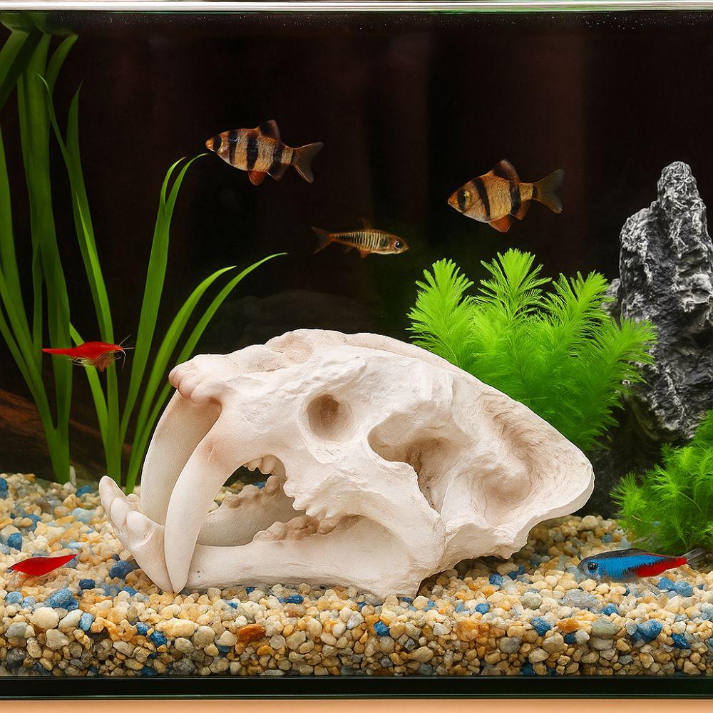 Resin Animal Skull Ornament Lifelike Fish Tank Ornament Dinosaur Head Skull Ornament  Aquarium