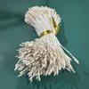 400Pcs Mini Flower Stamen Artificial Pearl Pistil Double Heads Diy Floral Craft For Wedding Decor Needlework Scrapbooking