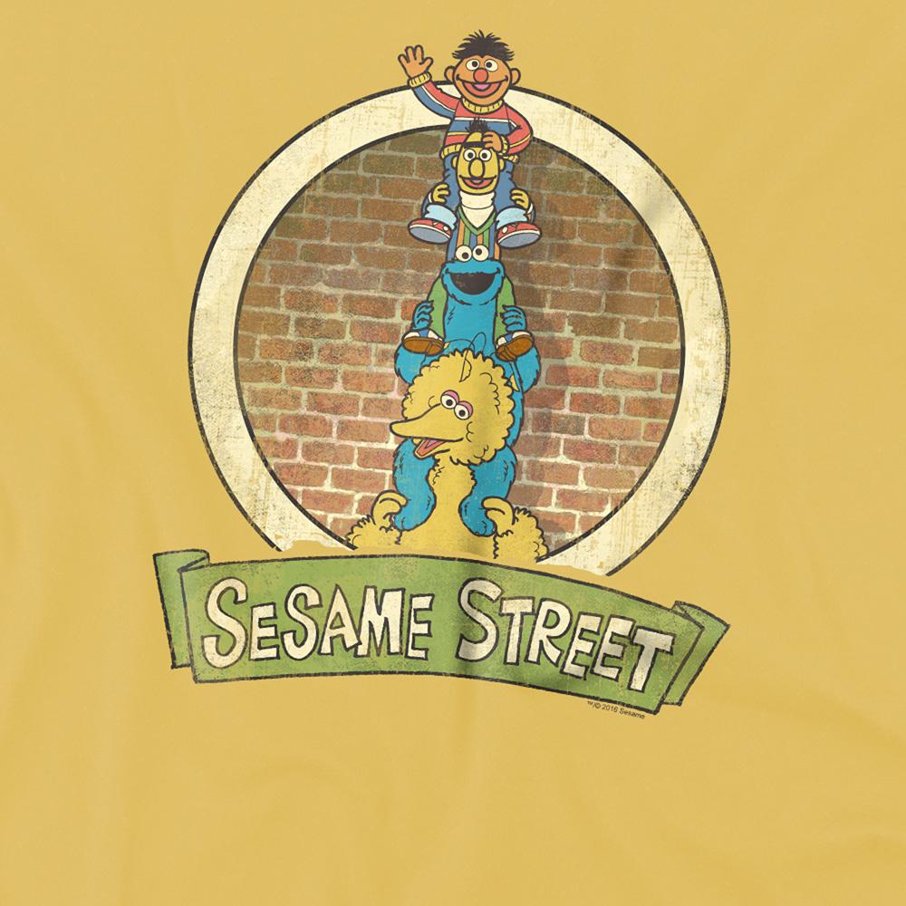 Sesame Street Unisex Adult Group T-Shirt