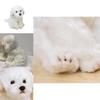 Adorable White Maltese Plush Toy, Fiber Filled, Long Haired Stuffed Animal, 33x24x16cm/38x26x21cm