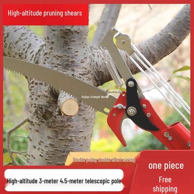 Telescopic High Reach Tree Pruner and Saw for Thick Branches - Ideal for Fruit Trees