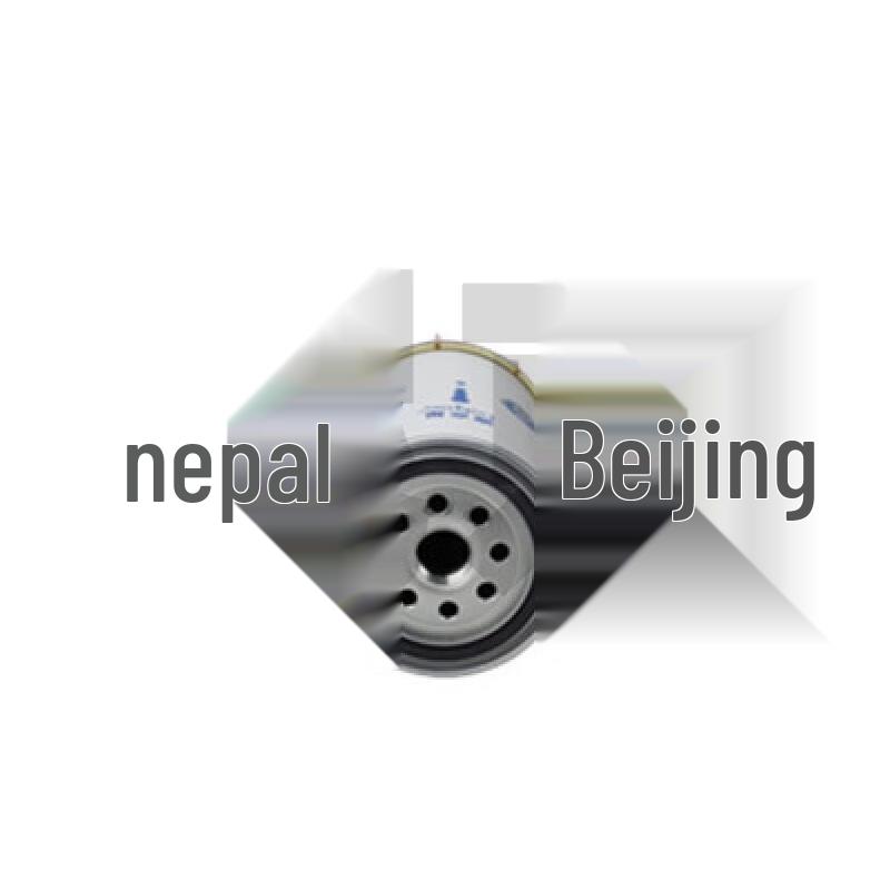Nijing Fuel Filter for Qingling 700P