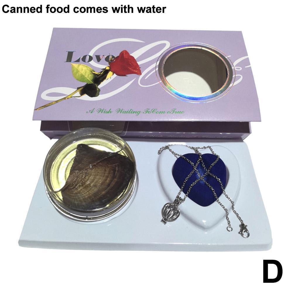 

Набор для ожерелья с жемчугом желаний Инновационный шарм-цепочка для праздничного подарка Сделай сам для изготовления ювелирных изделий Набор для ожерелья с жемчугом желаний