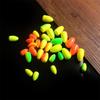 60PCS Bright Color Fly Fishing Floats Lightweight Fishing Bobbers Fishing Floats  For Fishing