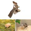 Multifunktionale Holz-Hamsterleiter Spielzeug Entwickelt für langanhaltenden Spaß Jede Hamster-Habitat-Unterhaltung
