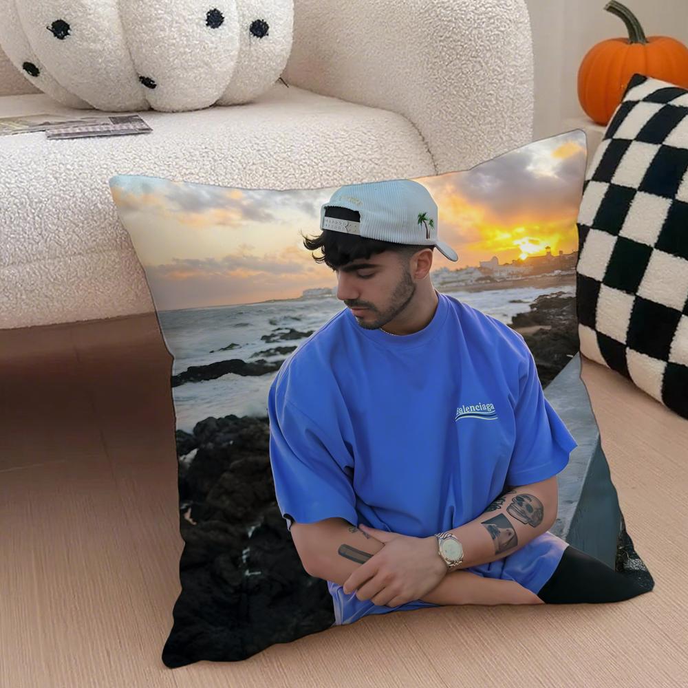 Creative Funny Argentine Creator FFede Vigevani Cushion Cover Throw Pillow Cover Hidden Button Durable Polyester Chair Cushion