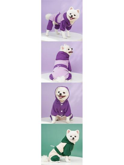 Waterproof Outdoor Suit for Small & Medium Dogs: Autumn/Winter Pet Clothing with Leash Accessories