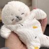 Stress Relief Plush Toy Cute Cartoon Healing Soothing Seal Bean Bag With Hanging Rope Funny Sensory Toy Birthday Gifts For Girls
