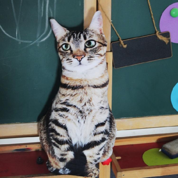 Simulation 3D Cat Cosplay Pillow Cushion Attractive Cute Pattern Bendable