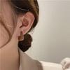 Autumn/Winter Myriad Series Retro Coffee Light Luxury Stud Earrings - Versatile Women's Style.
