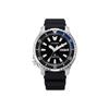 Black Dial – görseldeki gibi