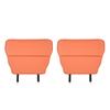 Rear Seat Kick Mats: Enhance Interior, Prevent Dirt, Special Accessories