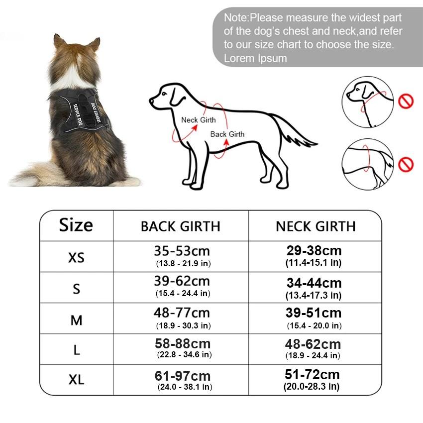 Pettorina riflettente per cani, gilet anti-tiro per cani, guinzaglio per cani di piccola, media e grande taglia, targhetta identificativa personalizzata, accessori per cani