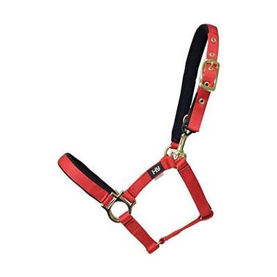 Hy Fieldsafe Baş Tasması