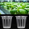 50Pcs Hydroponics Soilless Plant Flower Growing Basket Mesh Pot Net for Greenhouse