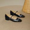 French Silver Square Head Single Shoes Women's Low Heels Autumn 2025 New One-word Buckle Versatile Mary Jane High Heels