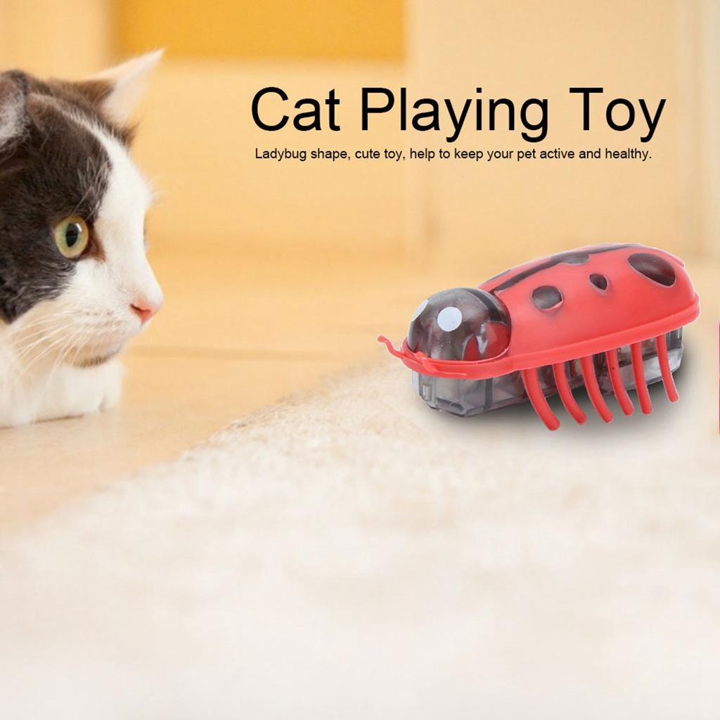 Cat Electric  Pet Mini Cute  Shape Electric Funny  Playing Interactive with Battery for Cat Mini Cute Cat