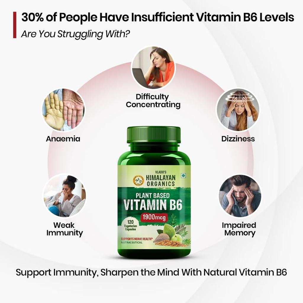 Vlado's Himalayan Organics Plant Based Vitamin B6 Capsules For Daily Wellness Energy Support And Brain Function 120 Capsules