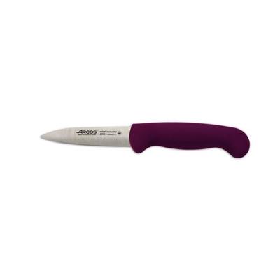 Mondador Arcos 2900 Knife - Prof 290031 Stainless Steel Nitrum Handle Ergonomic Polypropylene Blade Fuchsia and 8 Cm Blade
