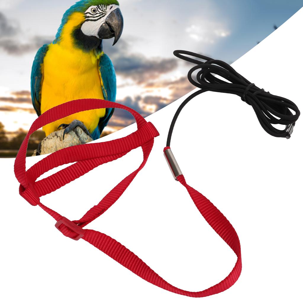 Bird Leash Bite Resistant Adjustable Parrot Flying Training Rope for Walking Attending PartyRed S