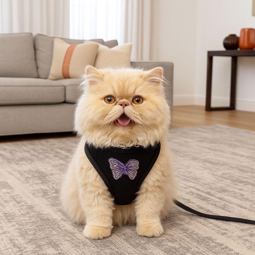 Soft Dog Chest Strap Adjustable Dog Traction Rope Collar Practical Dog Chest Vest  Daily Walk