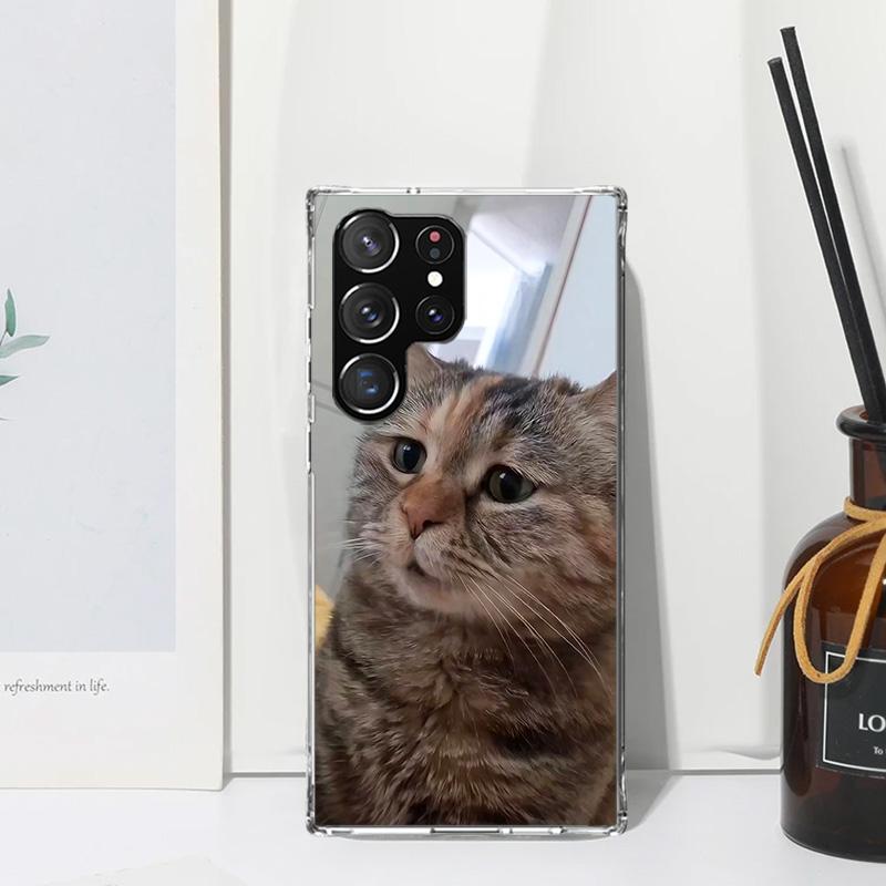 Pet Cat Funny Memes Phone Case For Samsung Galaxy S26 S25 Edge S24 FE S23 S22 Ultra S21 Plus S20 + Art Fundas Back Cover Galaxy